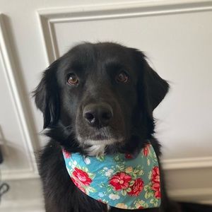 Meet your Posher, Ashlyn